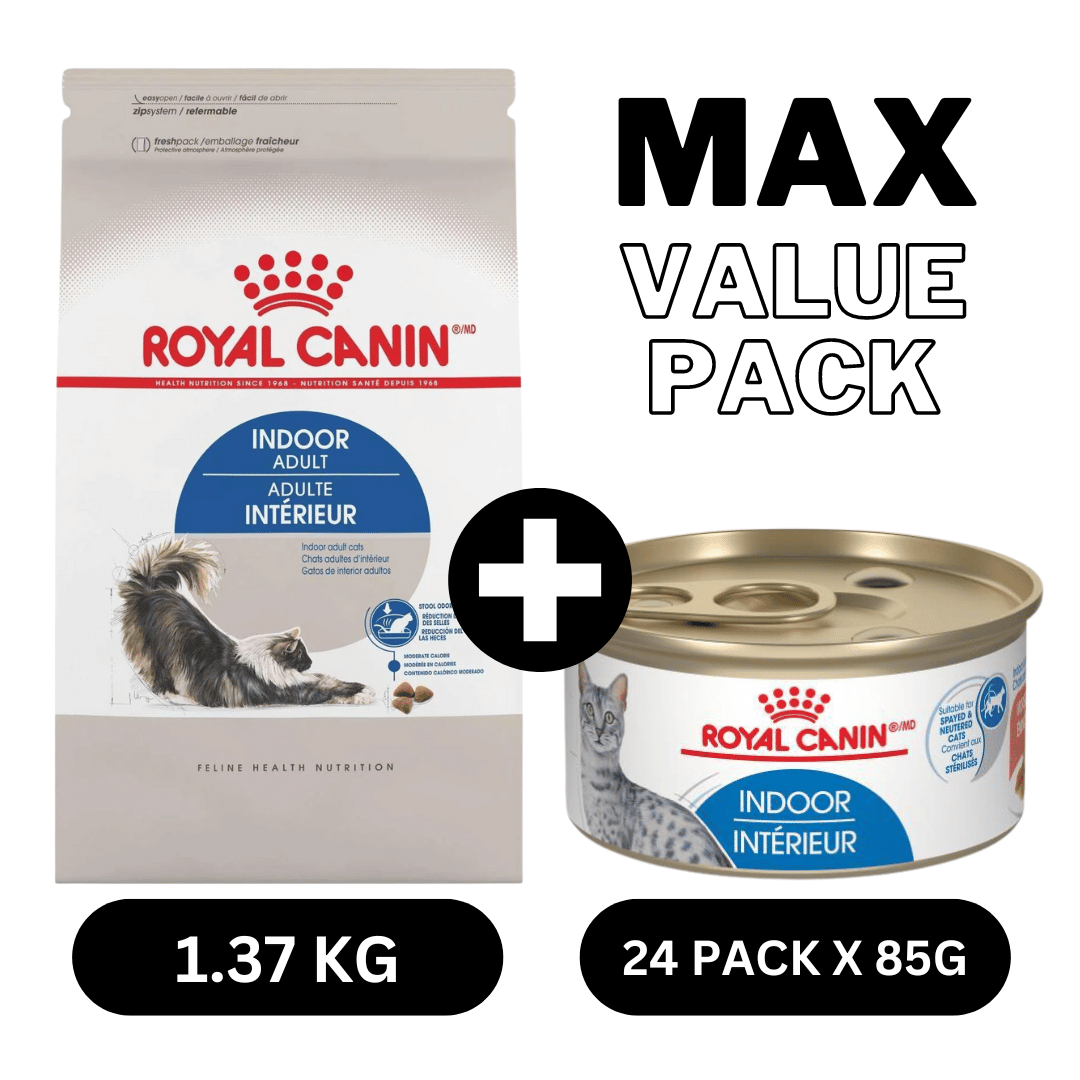 Max Value Pack Royal Canin Indoor Adult Wet and Dry Cat Food PetMax