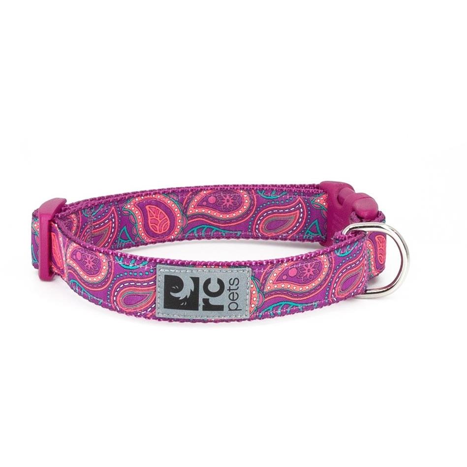 Paisley dog collar sale