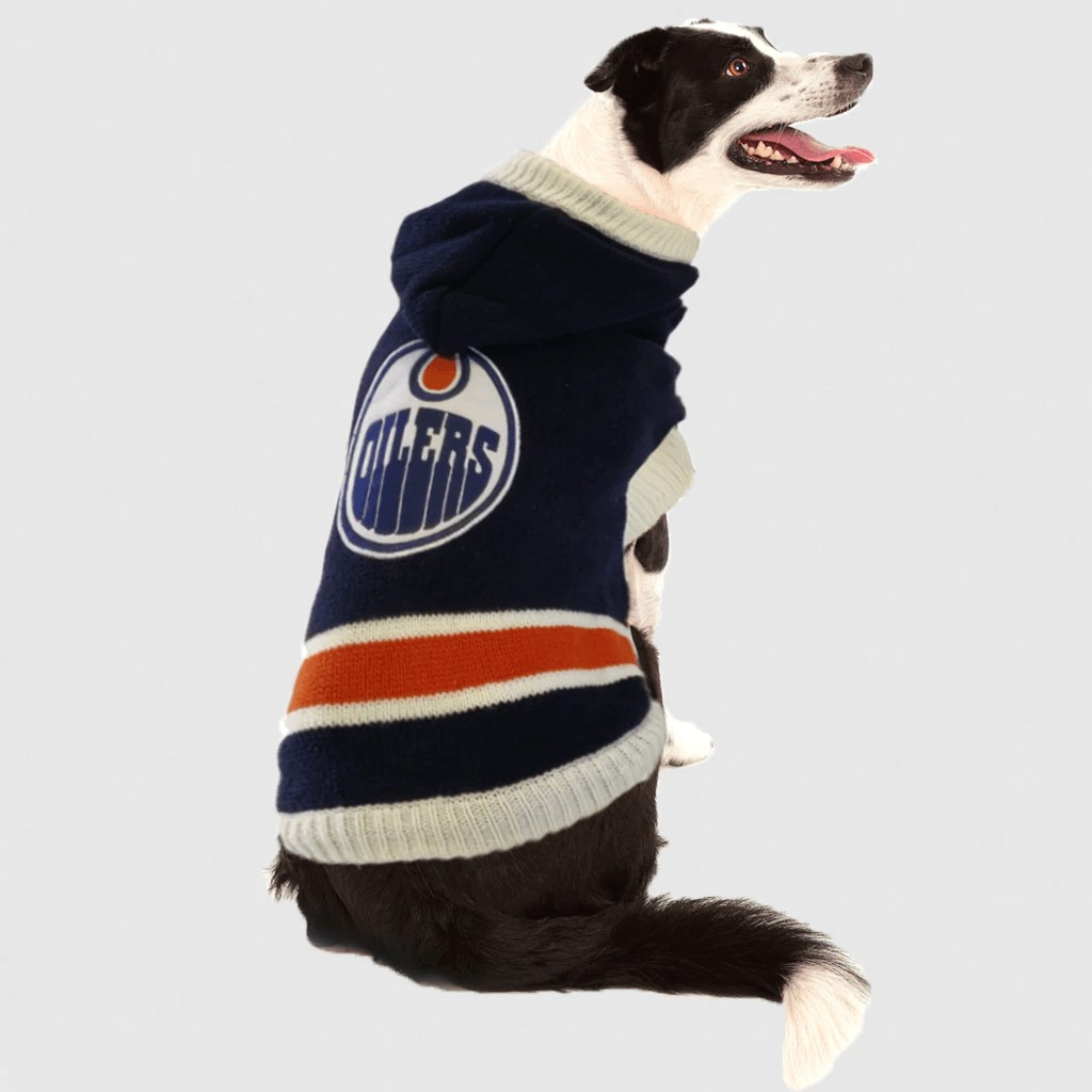 Nhl dog jersey on sale