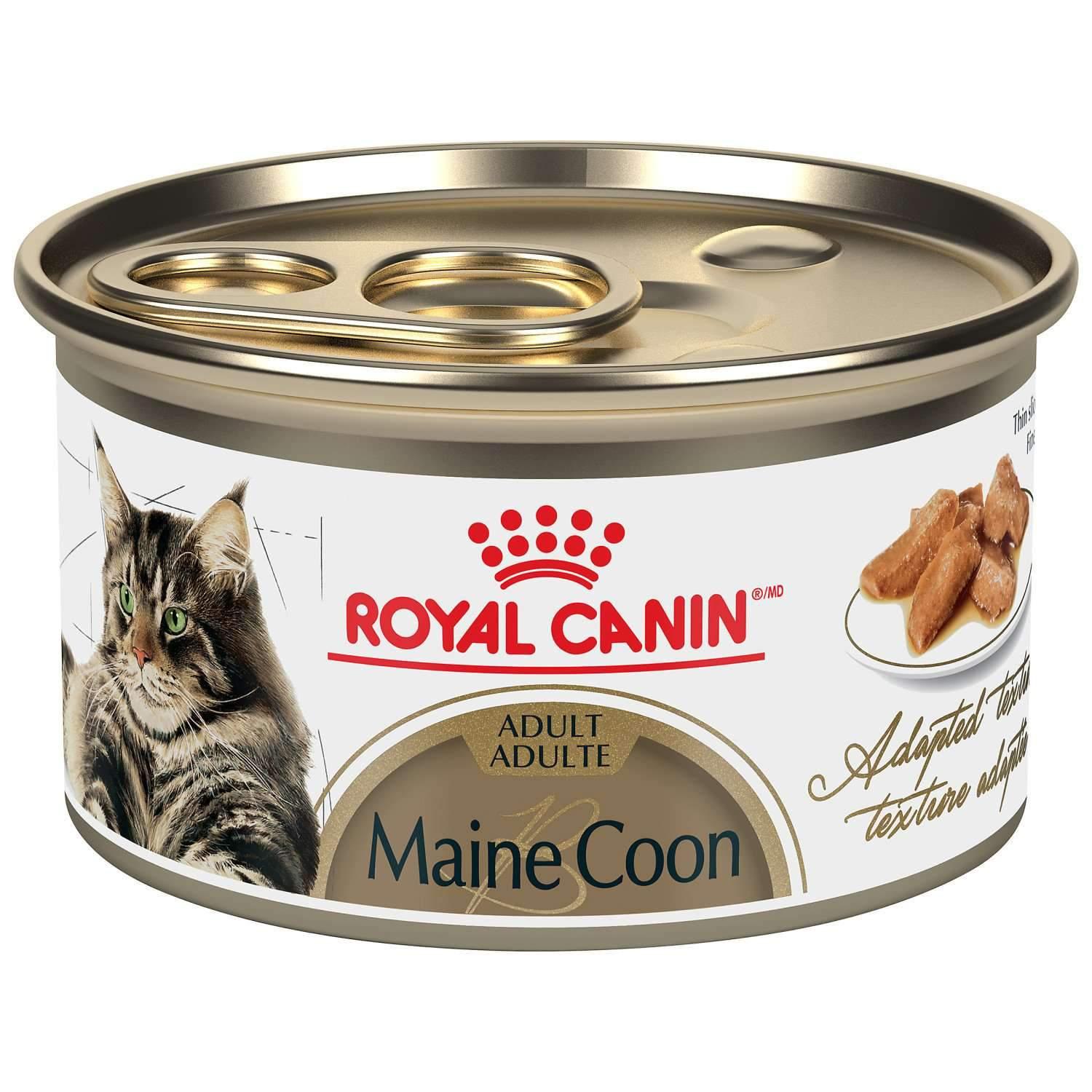 Buy Royal Canin Maine Coon Canned Cat Food Online In Canada PetMax