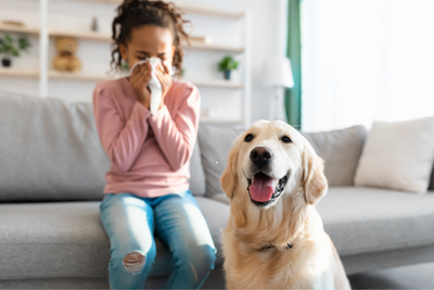 Allergies to Cats and Dogs? Tips for Living Comfortably with Pets