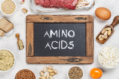 Amino Acid Benefits, Types, & How to Incorporate Them into your Pets Diet