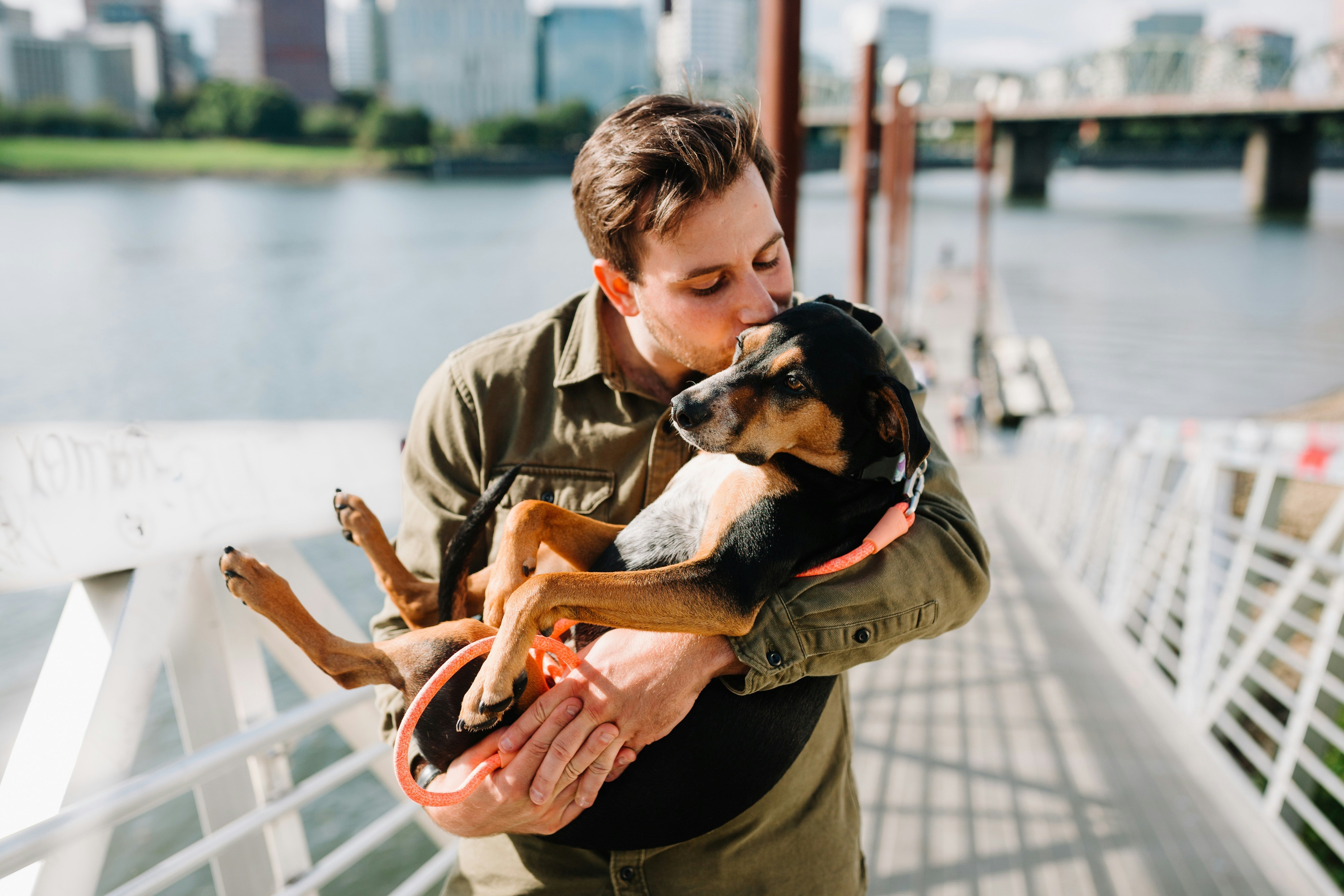 Celebrating Valentine’s Day with Your Beloved Pets: Love Stories and Safety Tips