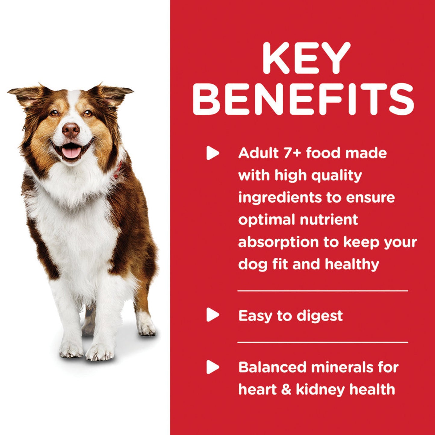 Science Diet Canine Can Healthy Cuisine Chicken 7+