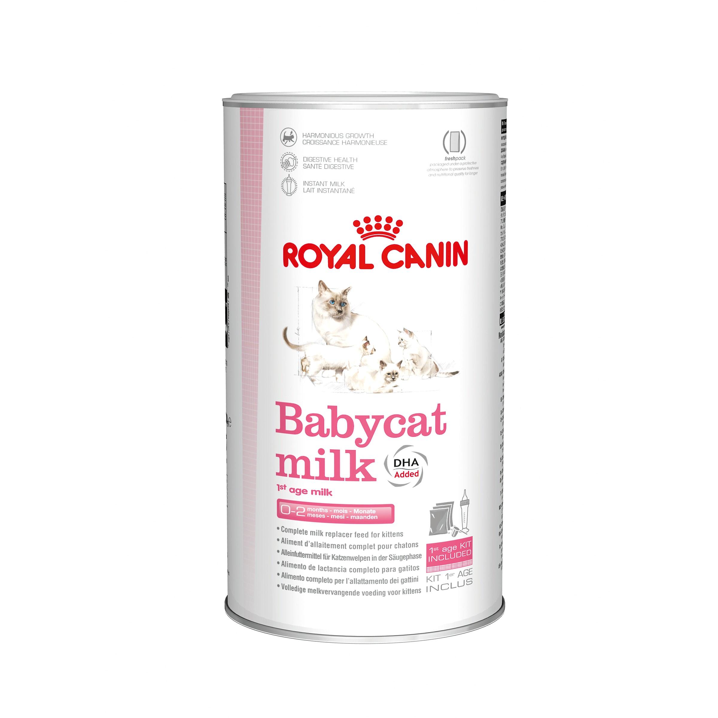 Formula milk for store kittens