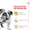 Nourriture pour chiens Royal Canin Bulldog