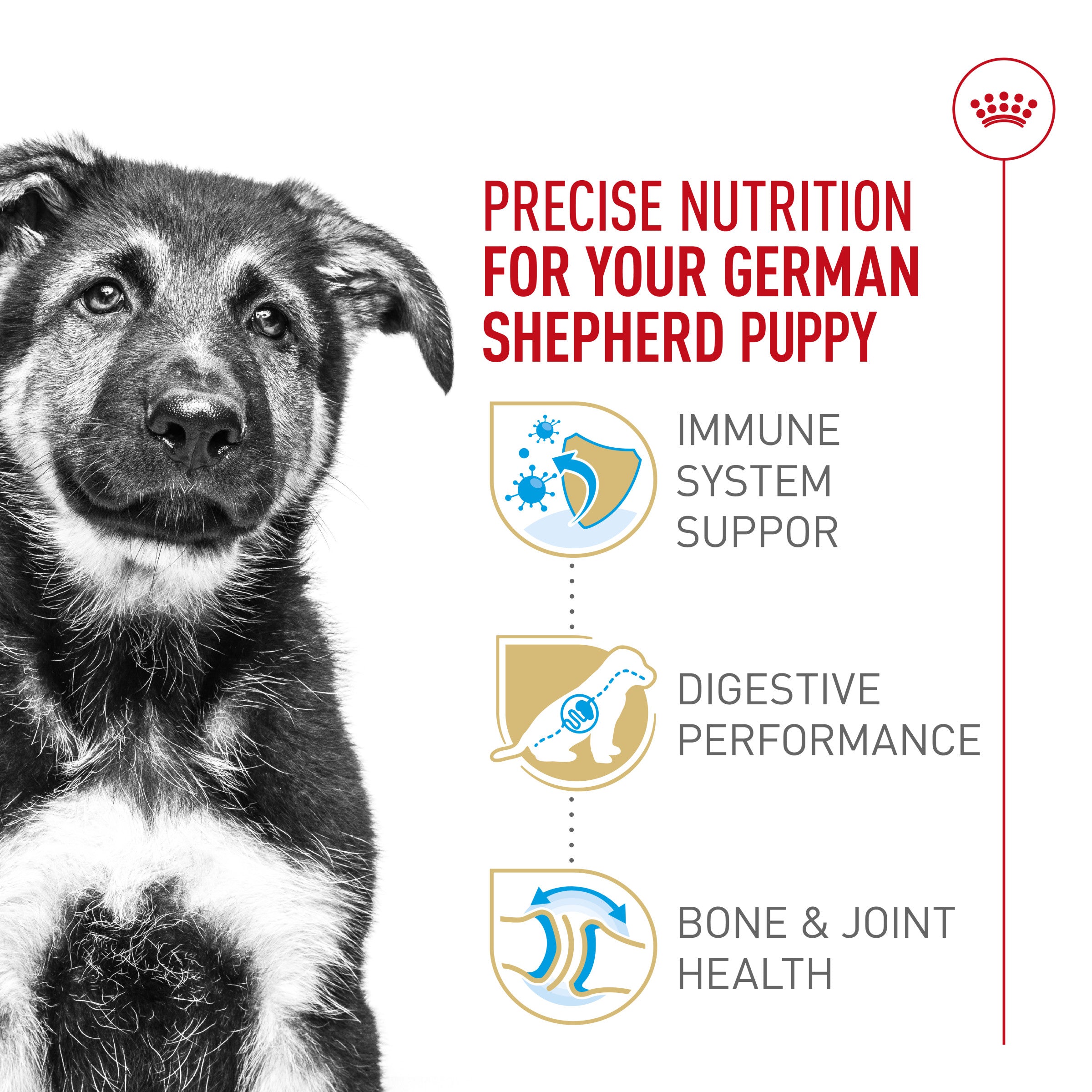 German shepherd puppy nutrition hotsell