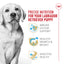 Nourriture pour chiots Royal Canin Labrador Retriever