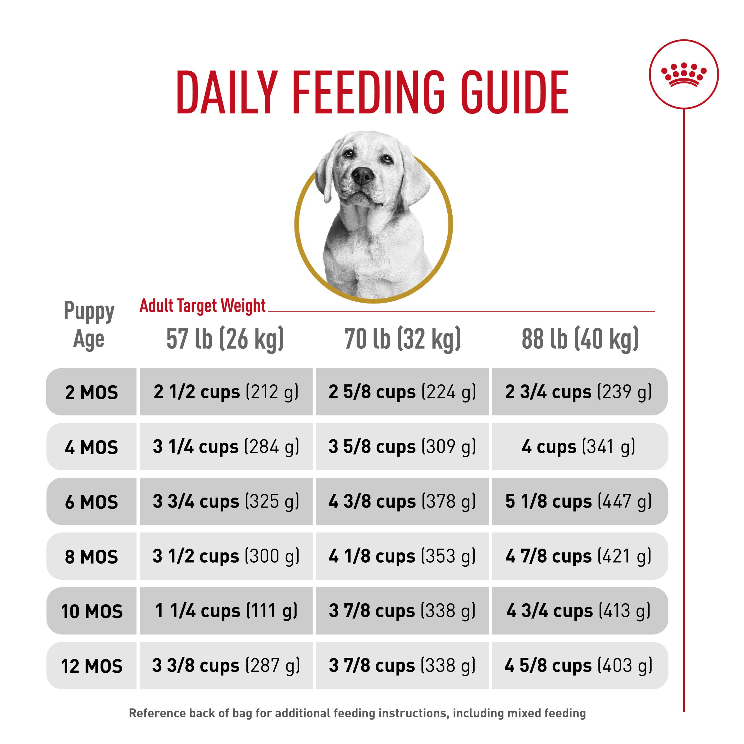 Labrador puppy feeding chart best sale