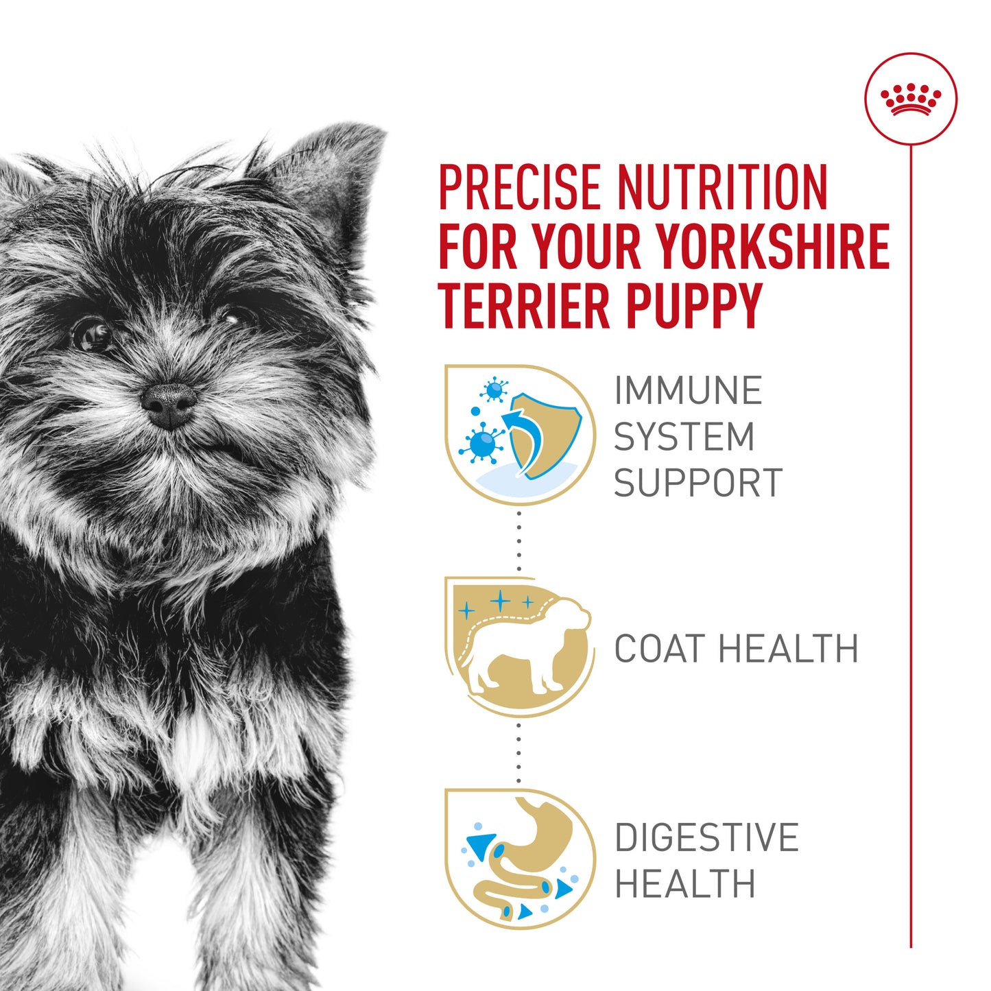 Royal Canin® Breed Health Nutrition® Yorkshire Terrier Puppy Dry Puppy Food