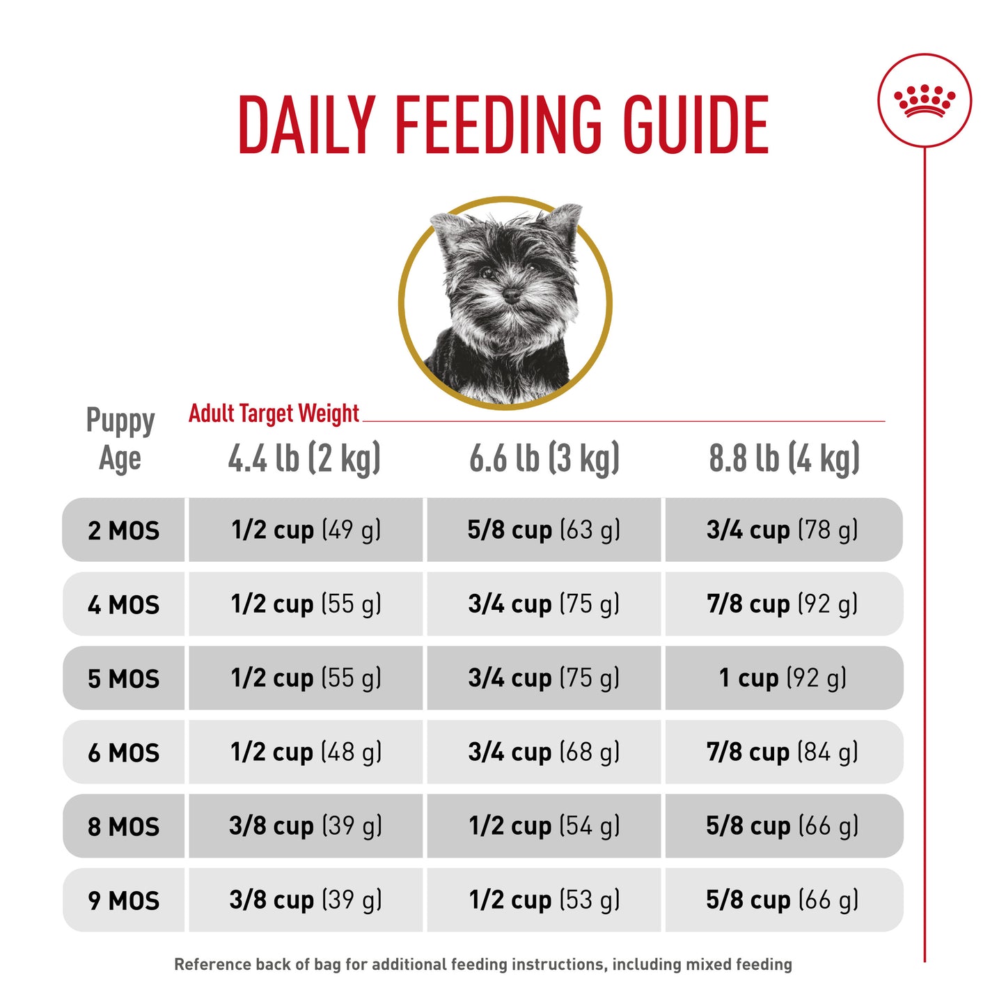 Royal Canin® Breed Health Nutrition® Yorkshire Terrier Puppy Dry Puppy Food