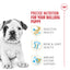 Royal Canin Bulldog Puppy Food