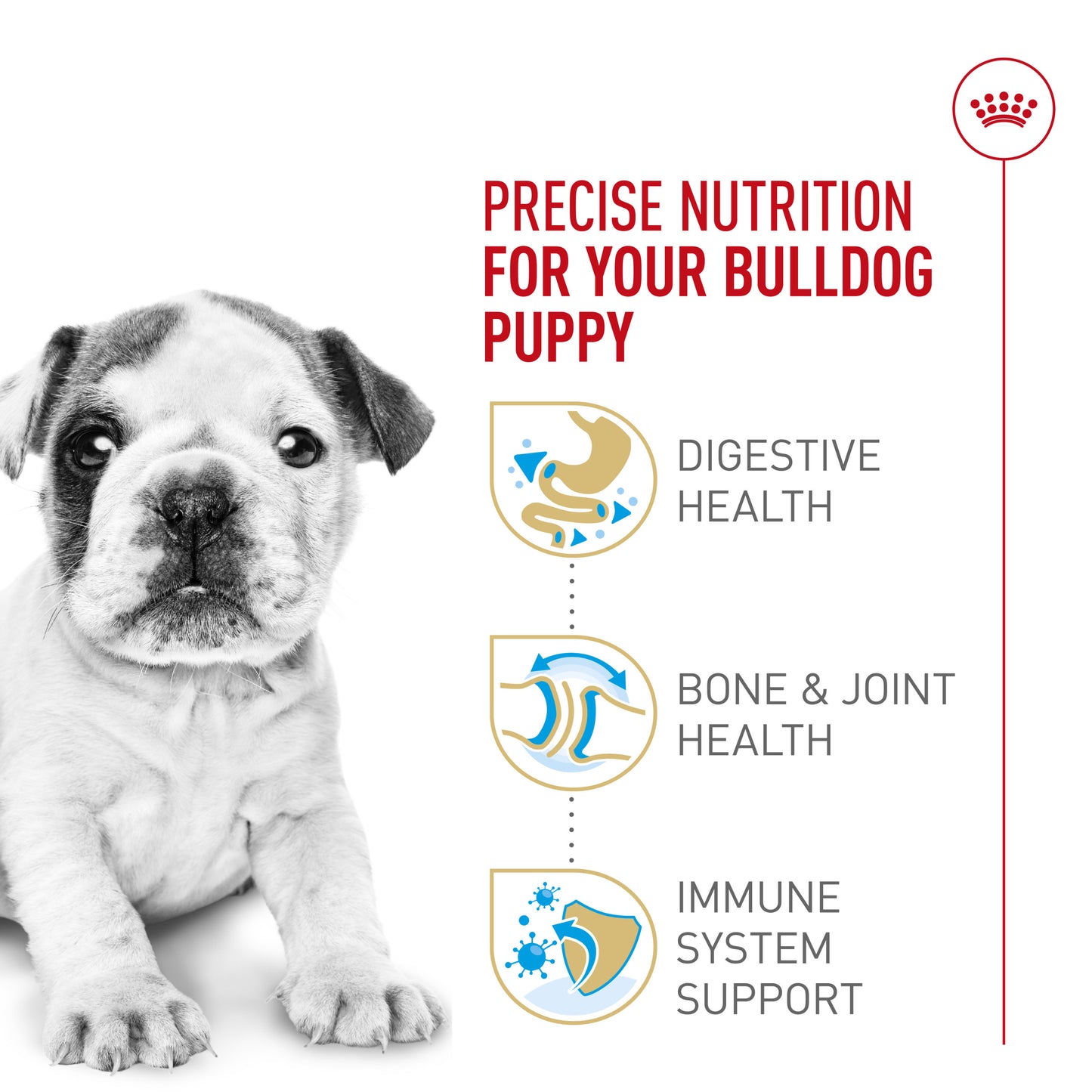 Royal Canin Bulldog Puppy Food