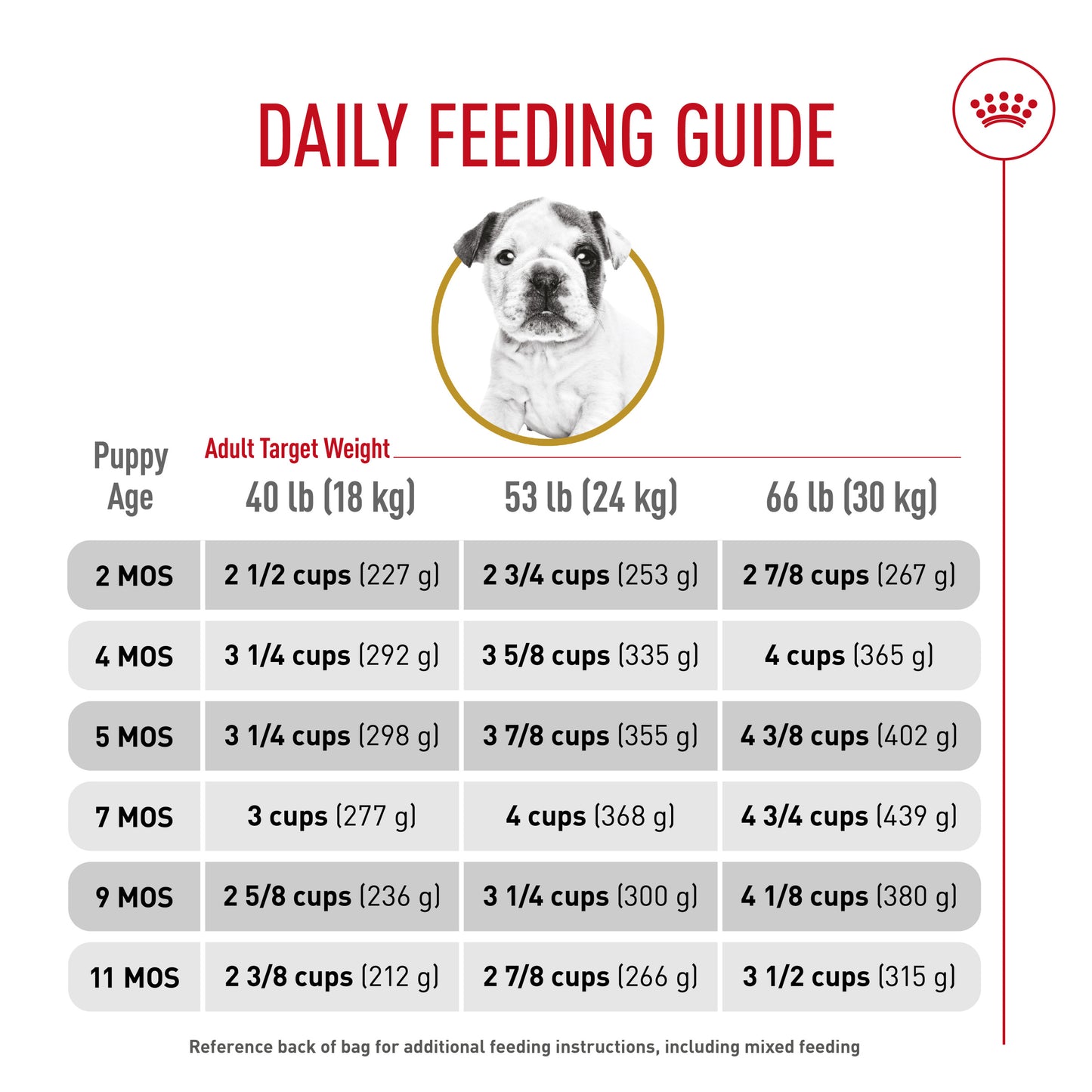 Royal Canin Bulldog Puppy Food