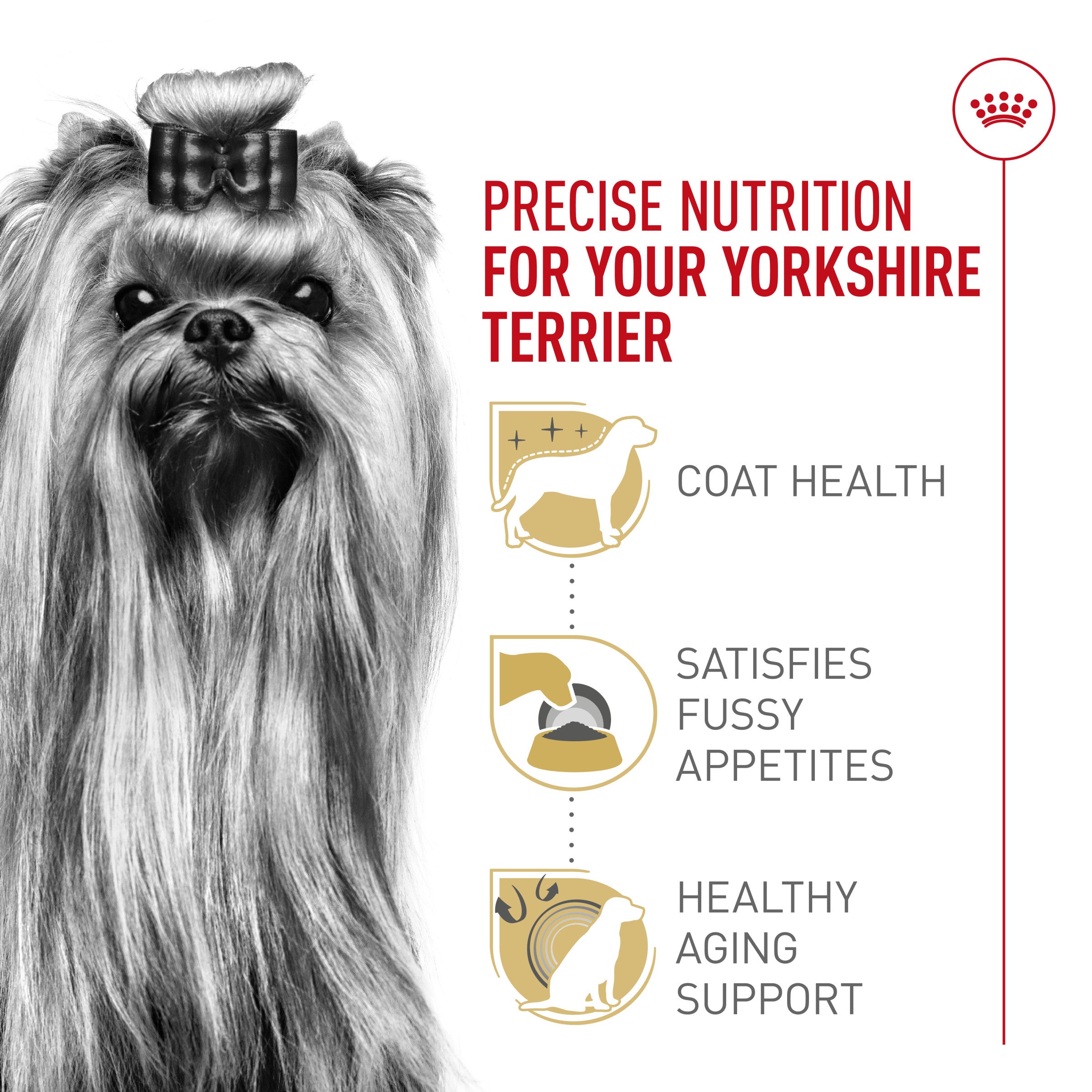 Royal Canin Breed Health Nutrition Yorkshire Terrier Adult Dry Dog Food