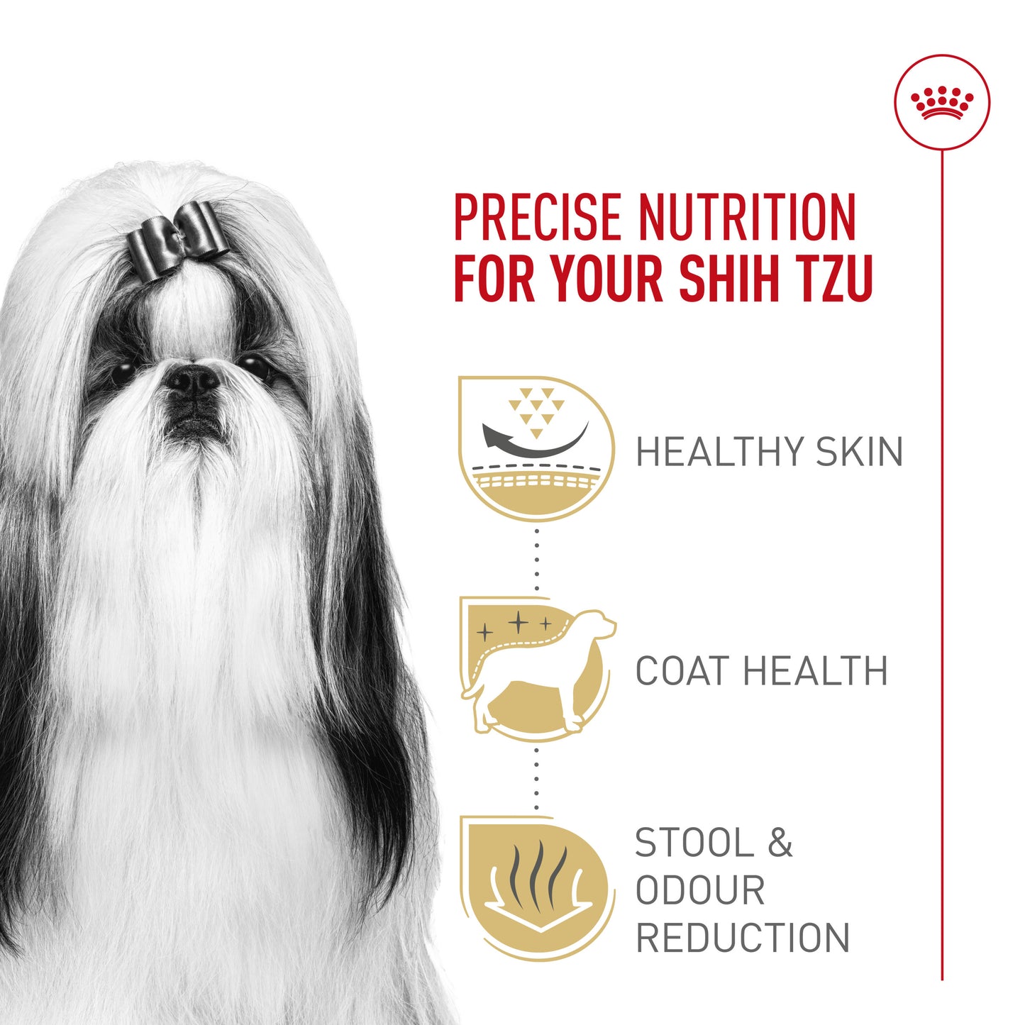 Nourriture pour chien Royal Canin Shih Tzu