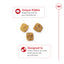 Royal Canin Breed Health Nutrition Teckel Adulte Croquettes pour Chiens