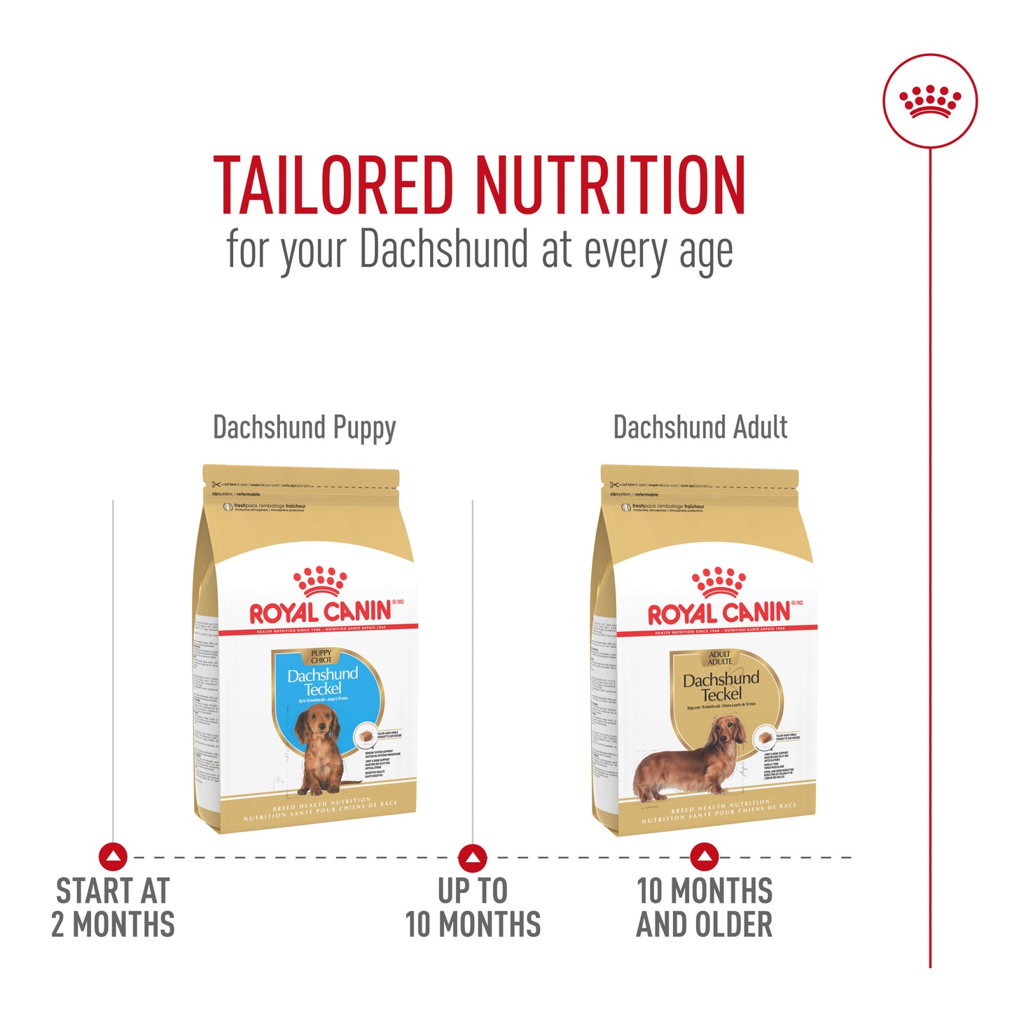 Royal Canin Breed Health Nutrition Teckel Adulte Croquettes pour Chiens