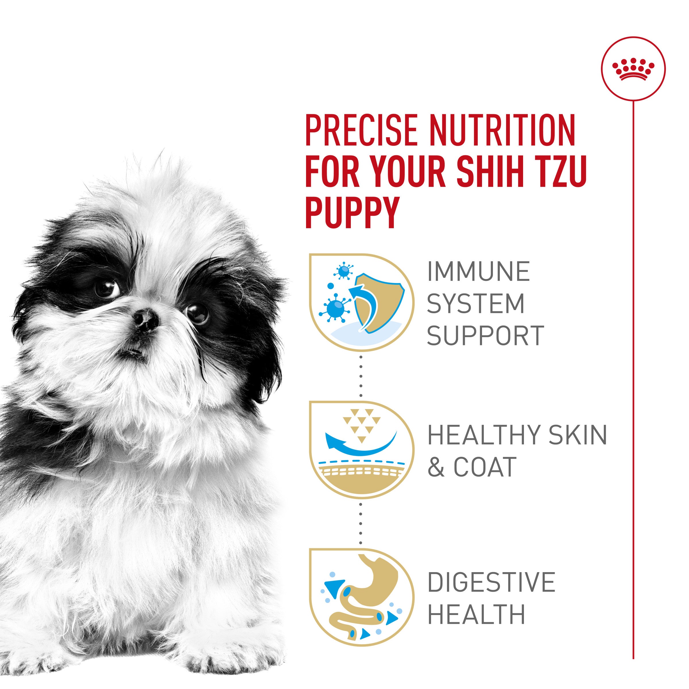 Dog food untuk shih tzu best sale