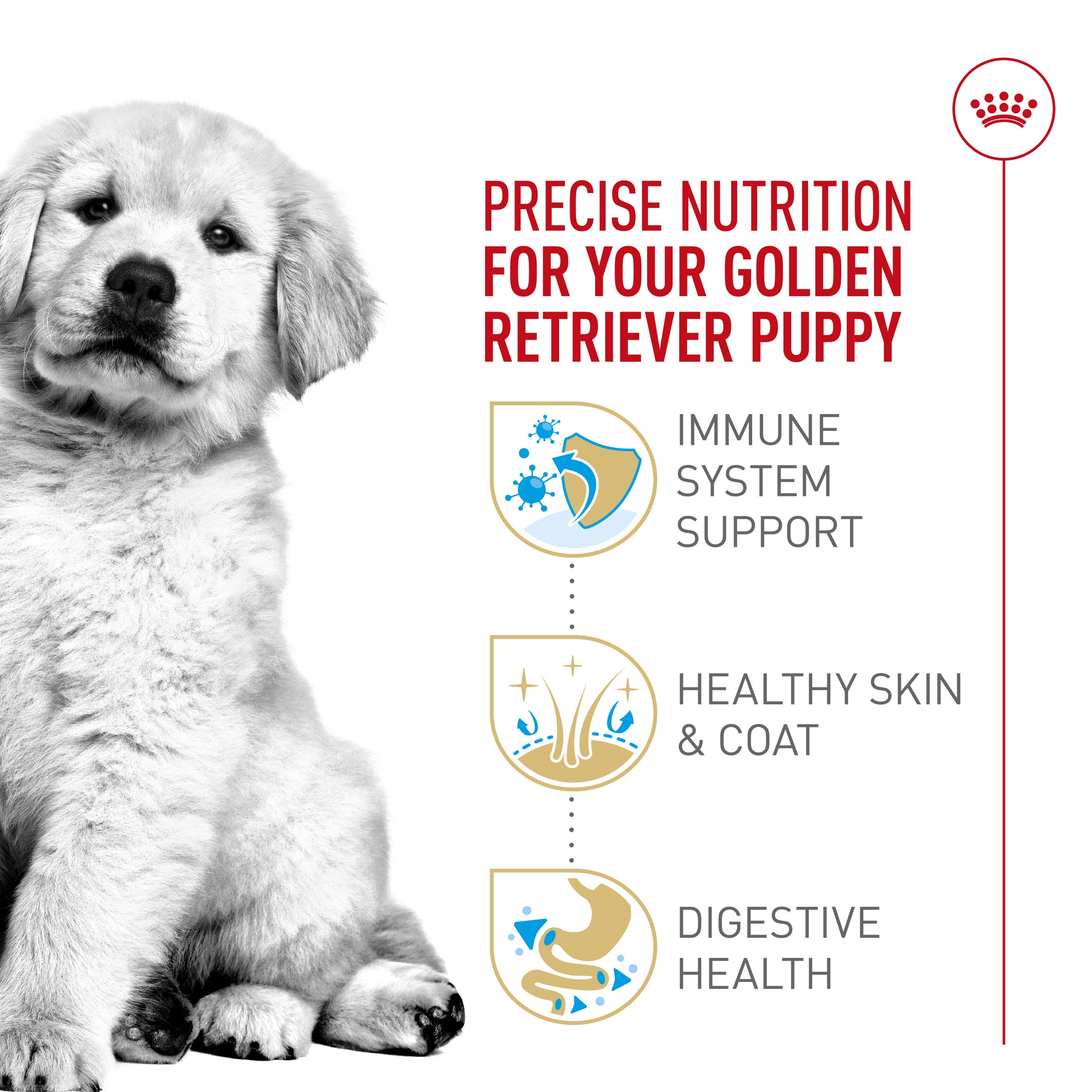 Royal Canin Golden Retriever Puppy Dry Dog Food