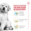 Royal Canin® Breed Health Nutrition® Golden Retriever Puppy Dry Puppy Food