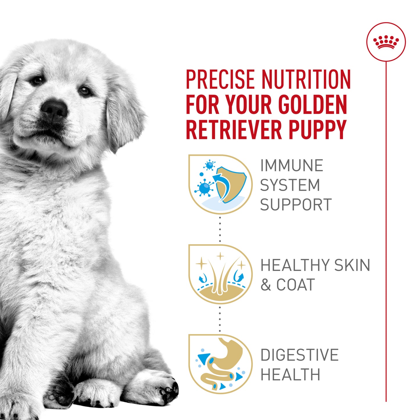 Royal Canin® Breed Health Nutrition® Golden Retriever Puppy Dry Puppy Food