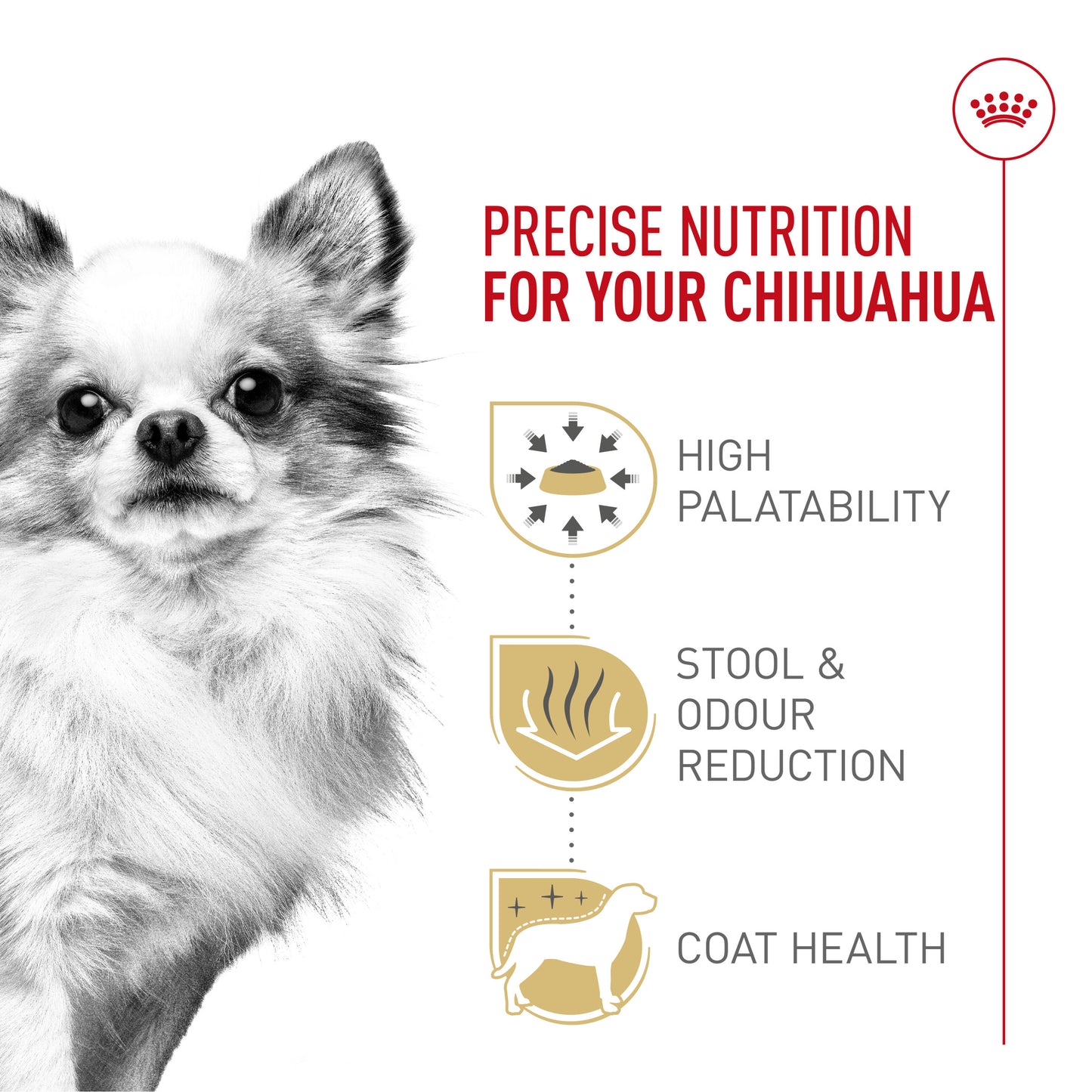 Royal Canin Breed Health Nutrition Chihuahua Adult Dry Dog Food