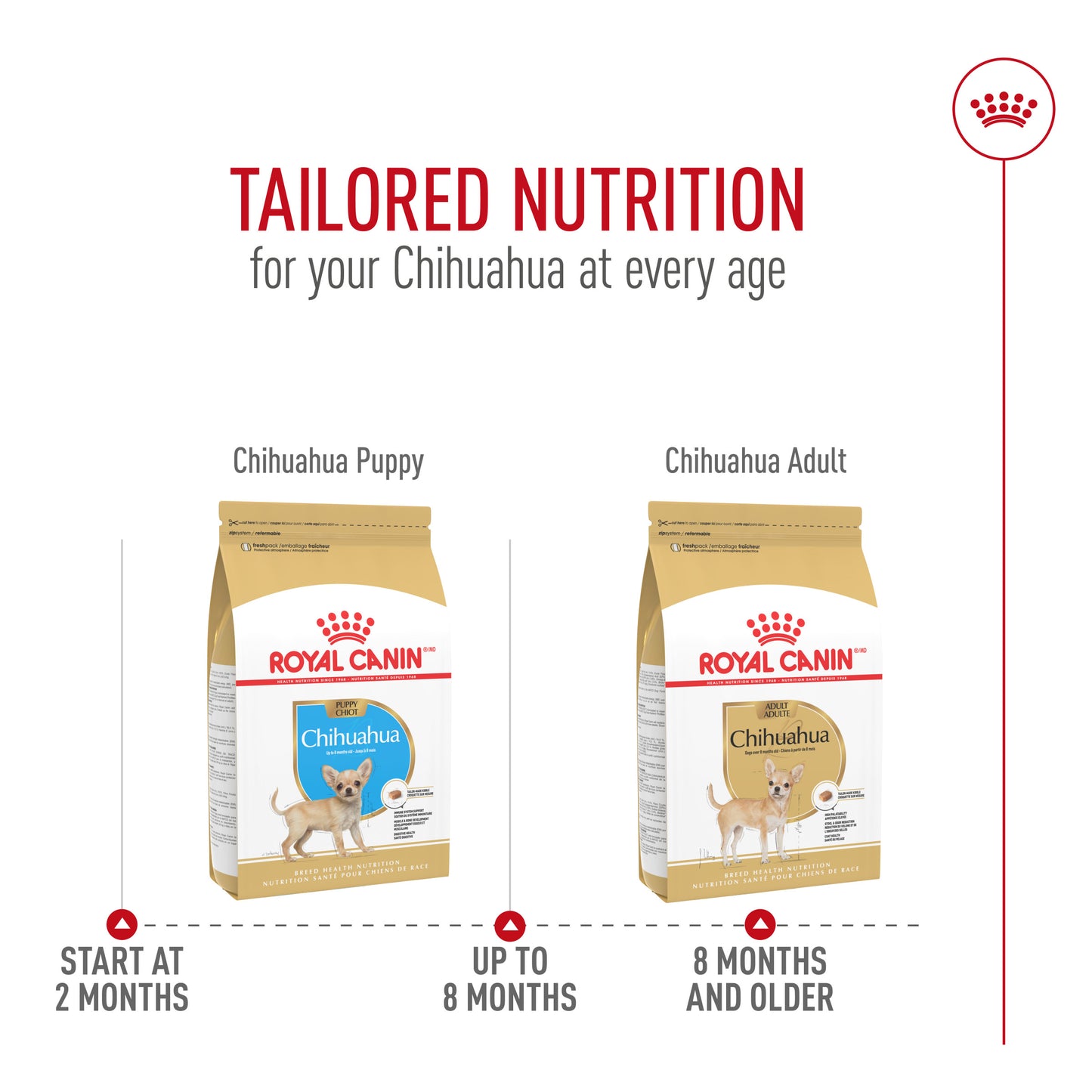 Royal Canin Breed Health Nutrition Chihuahua Adult Dry Dog Food