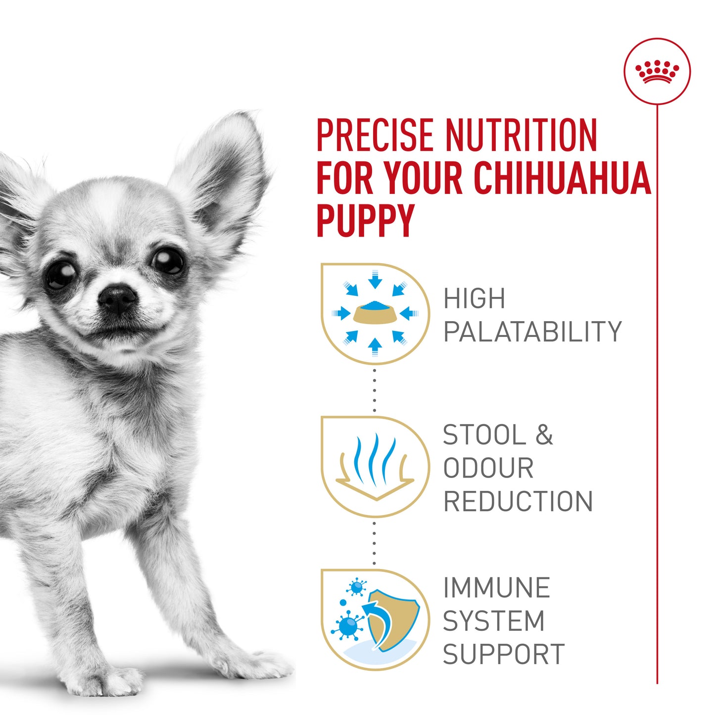 Nourriture pour chiots Royal Canin Bulldog 