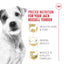 Royal Canin Schnauzer nain Croquettes pour chiens adultes 