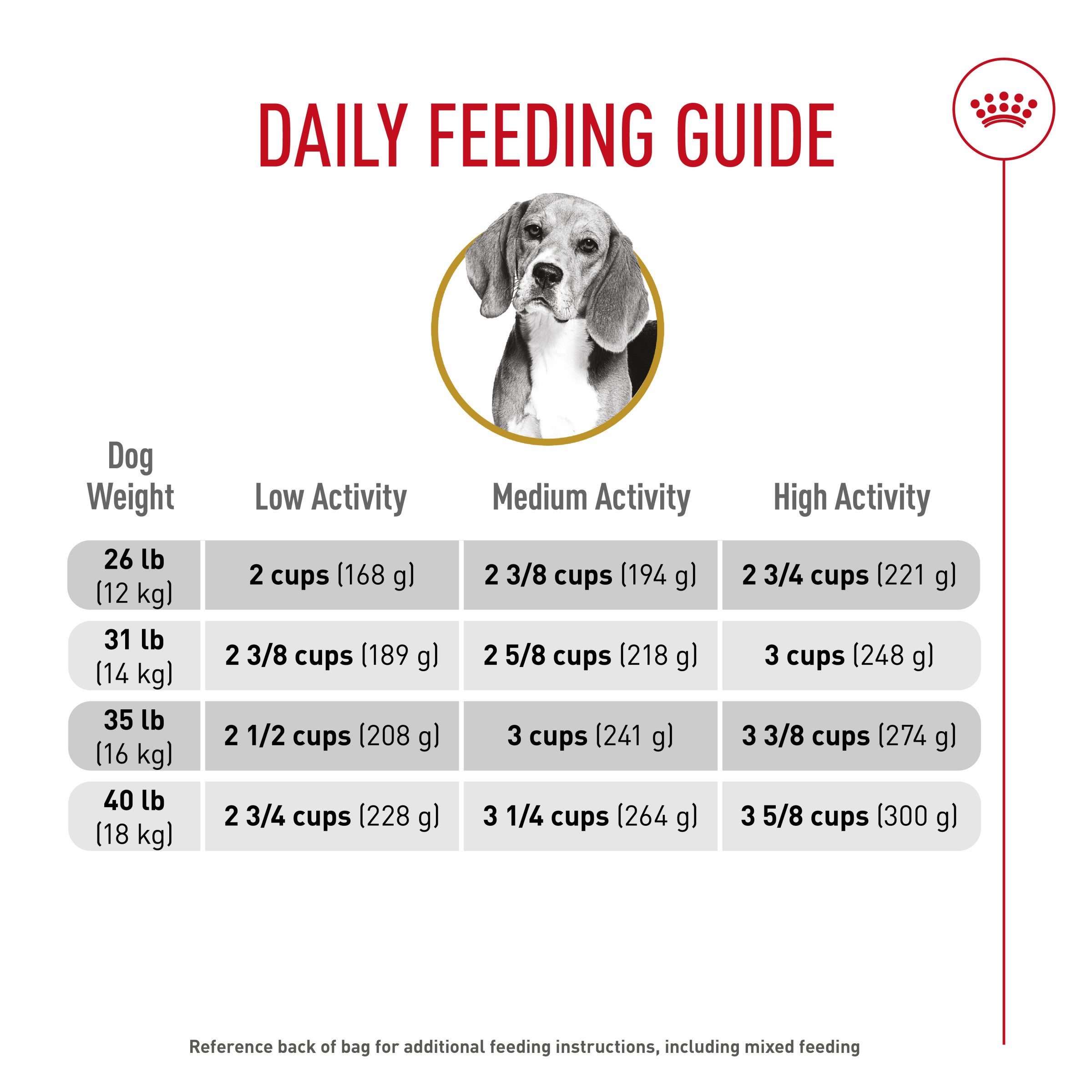 Beagle puppy feeding chart best sale