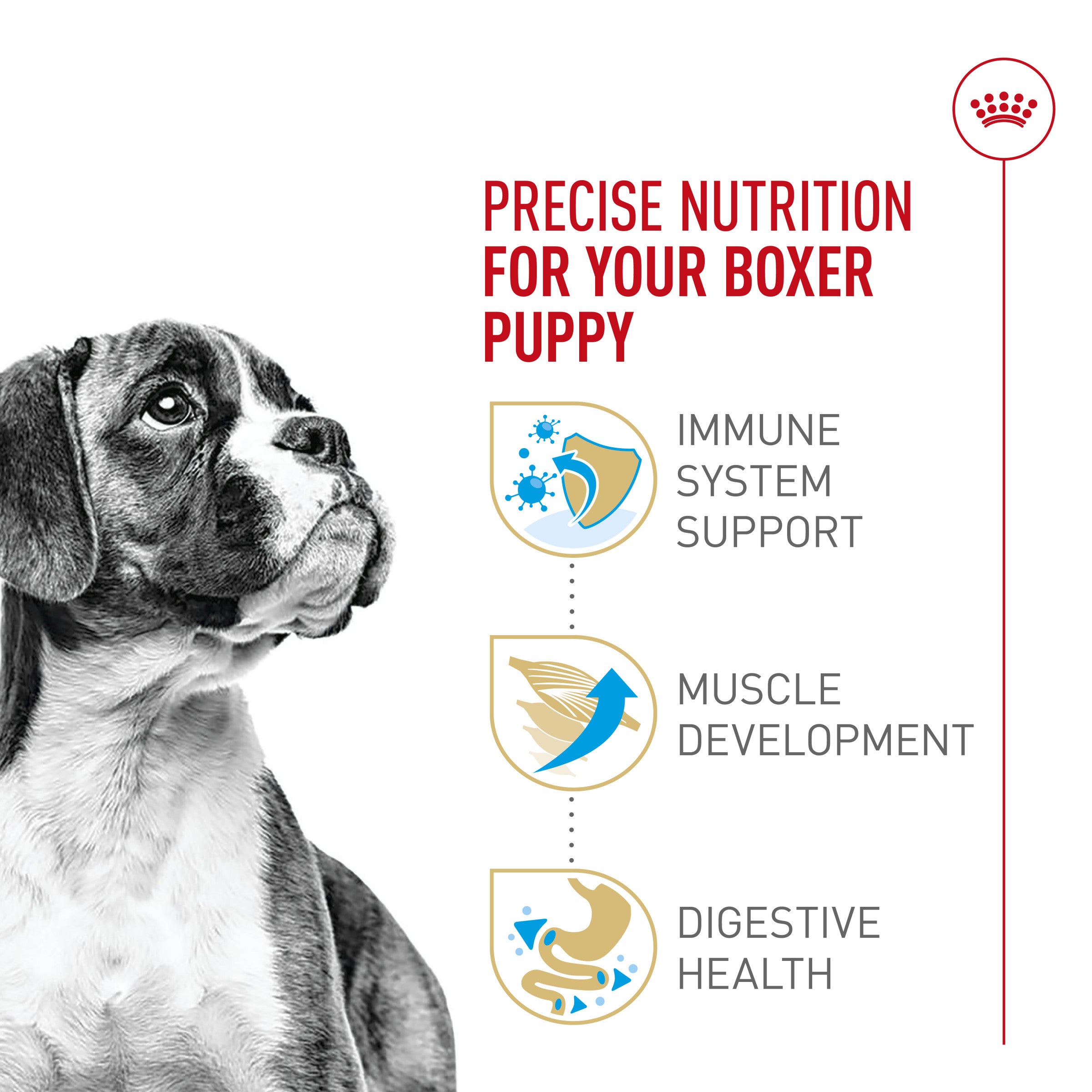 Boxer puppy food recommended best sale