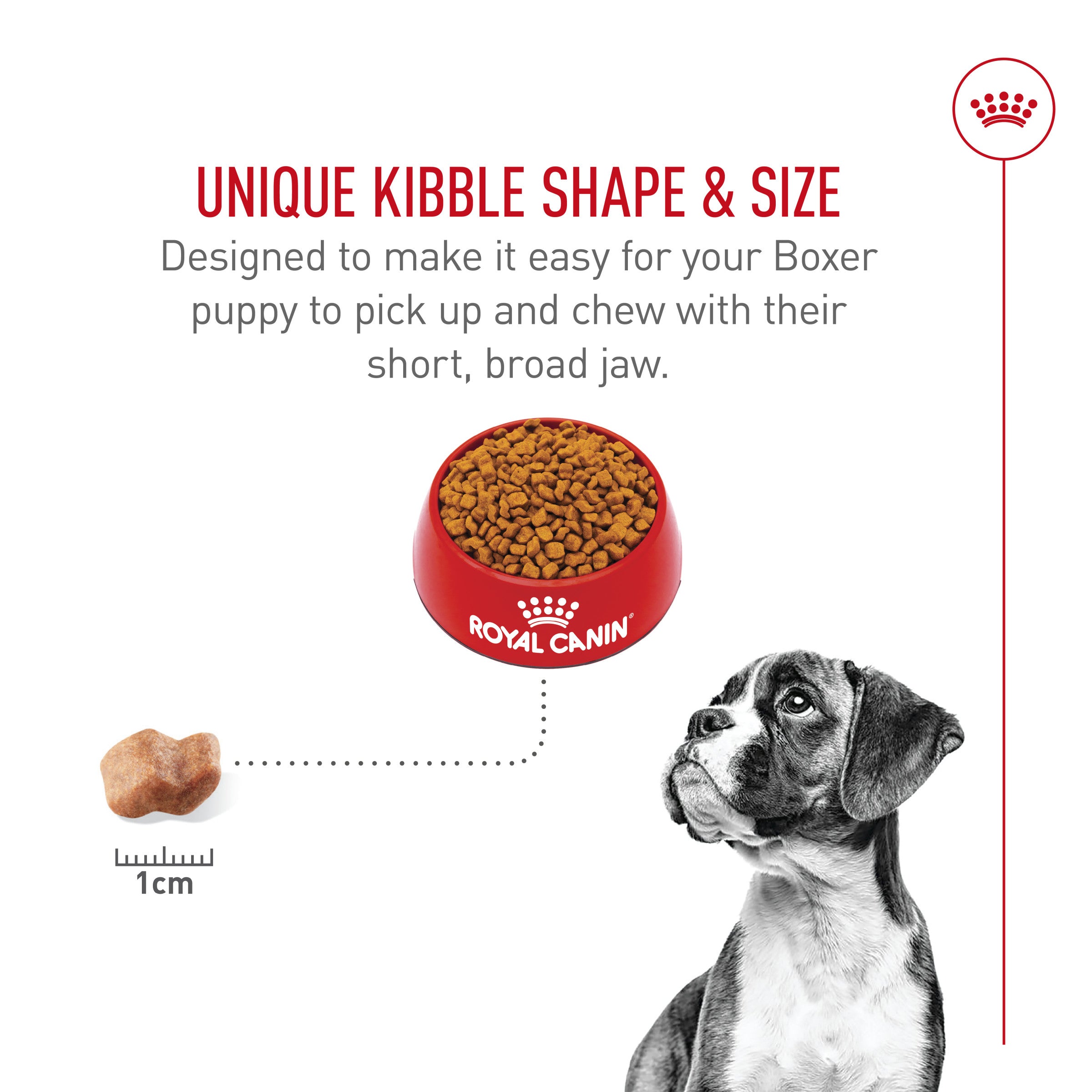 Royal Canin Breed Health Nutrition Boxer Puppy Dry Dog Food PetMax