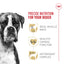 Royal Canin Breed Health Nutrition Boxer Croquettes pour chiens adultes