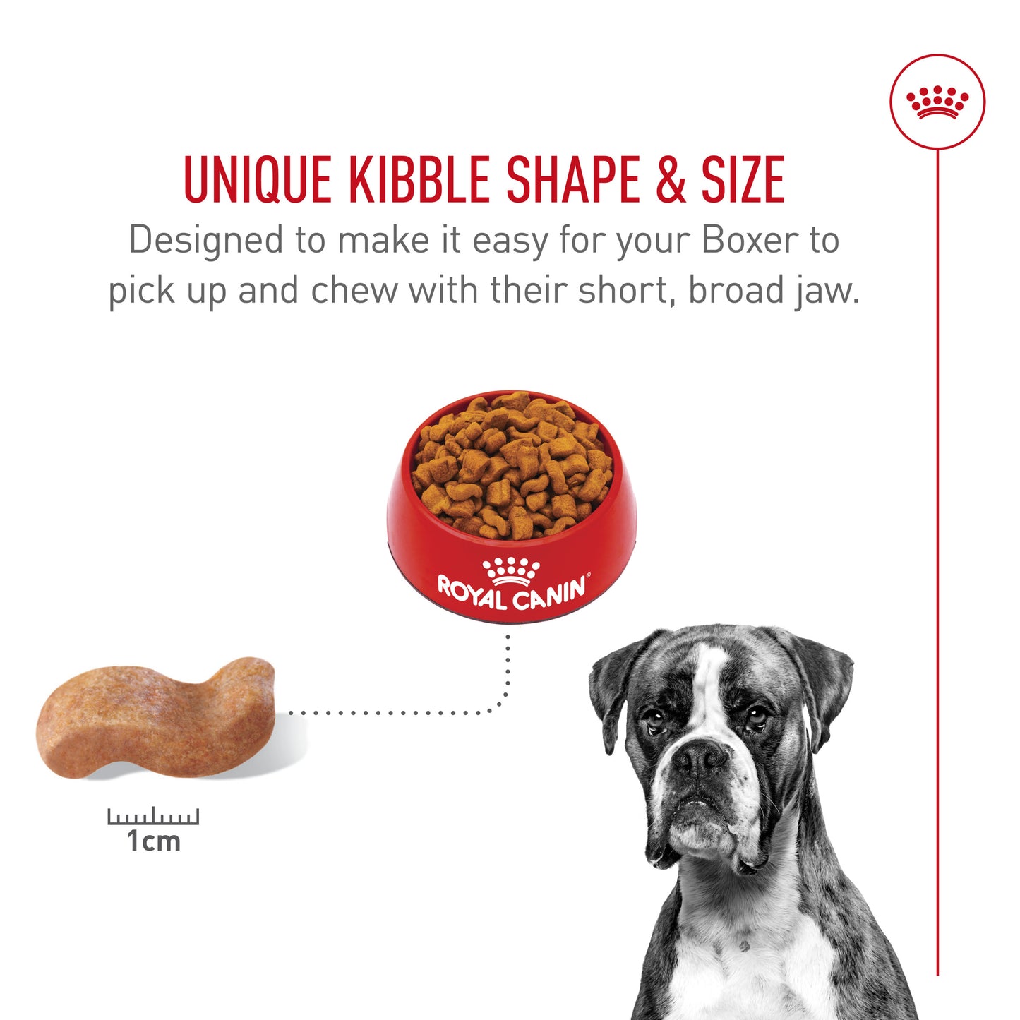 Royal Canin Breed Health Nutrition Boxer Croquettes pour chiens adultes