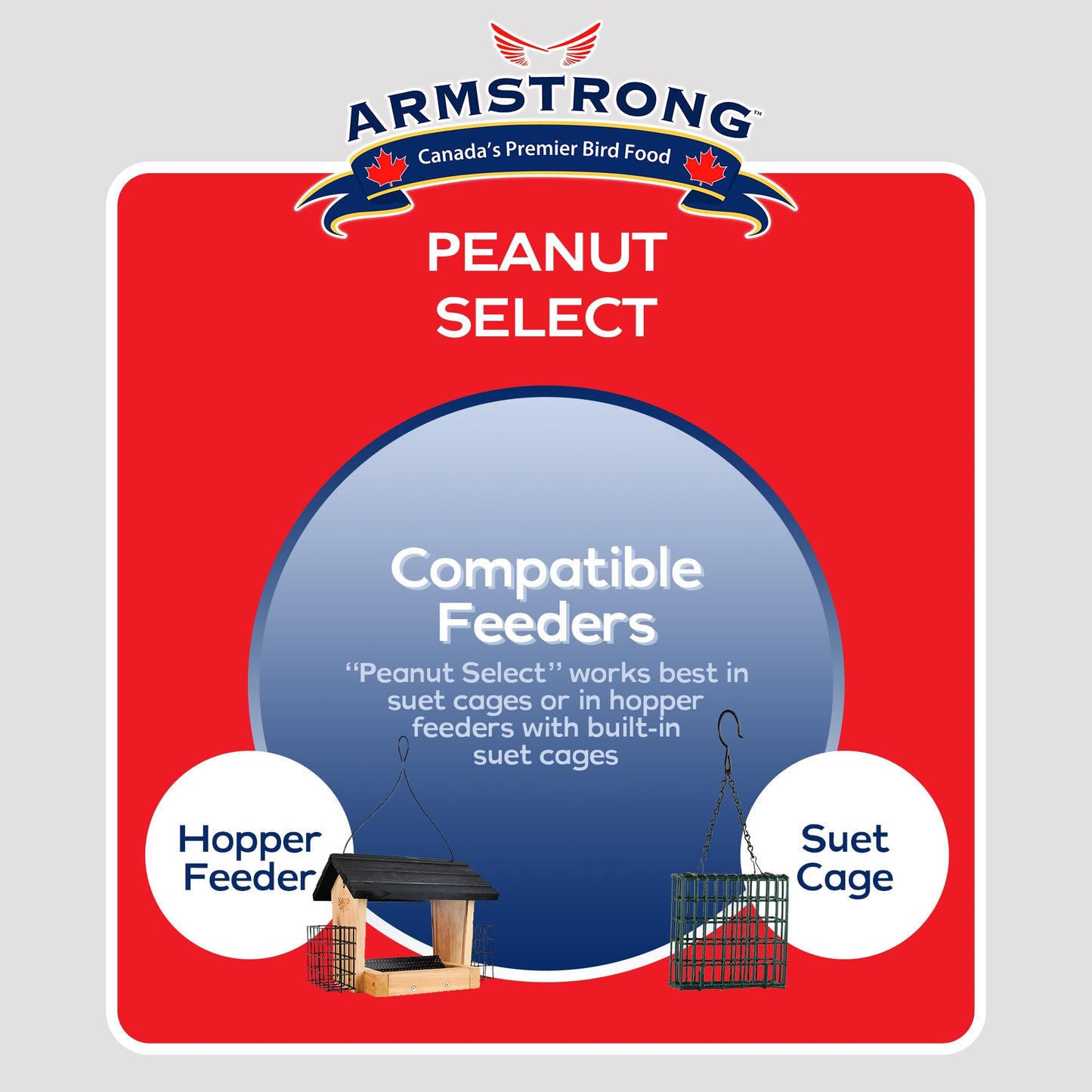 Armstrong Peanut Select Suet