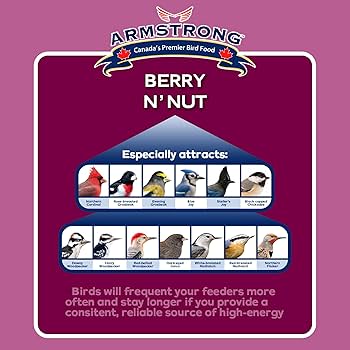 Armstrong Berry N' Nut Suet