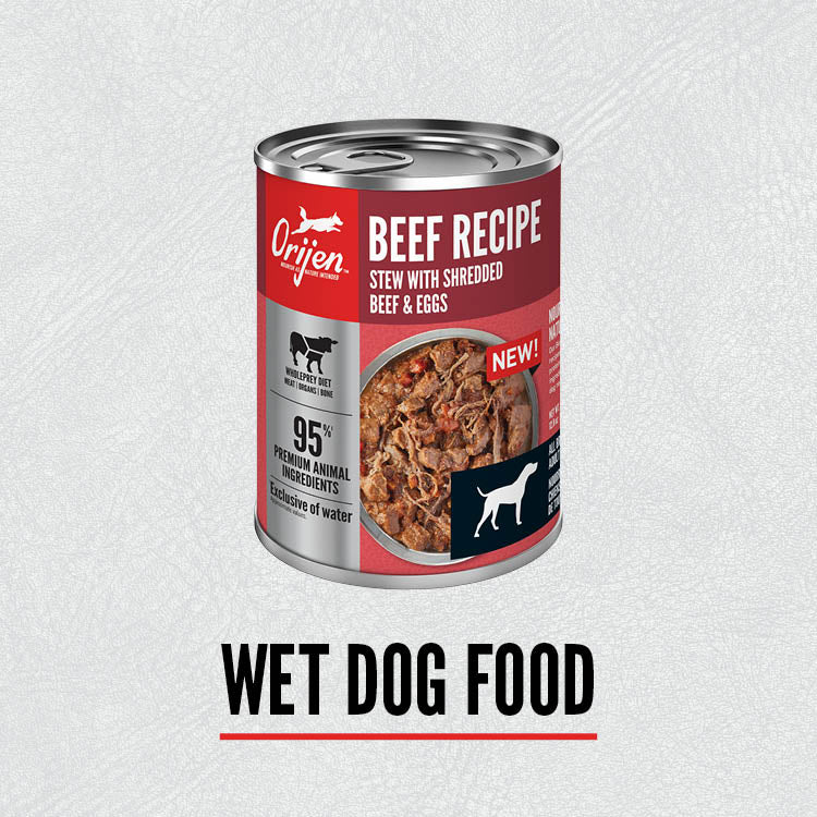 Buy orijen dog food online sale