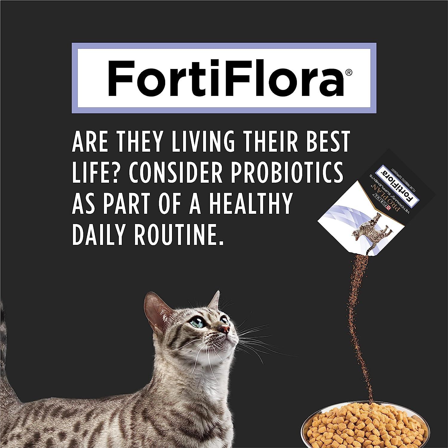 Purina probiotics for store cats