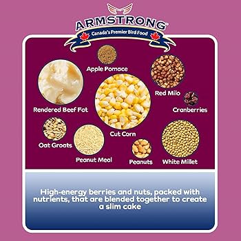 Armstrong Berry N' Nut Suet