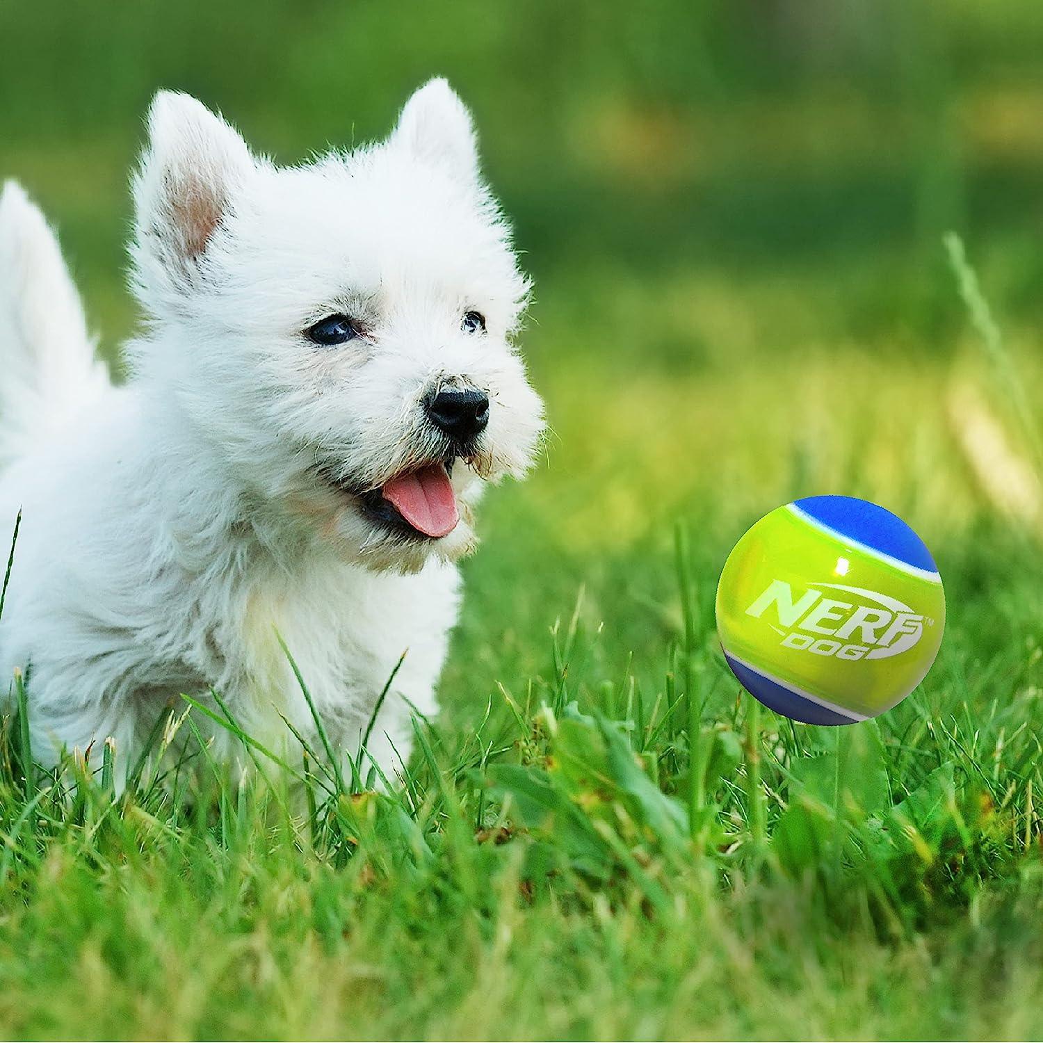 Mini dog tennis balls best sale