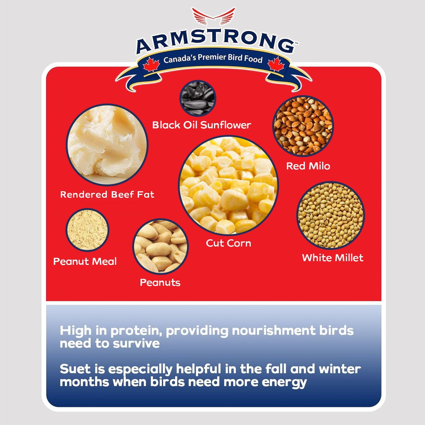 Armstrong Peanut Select Suet