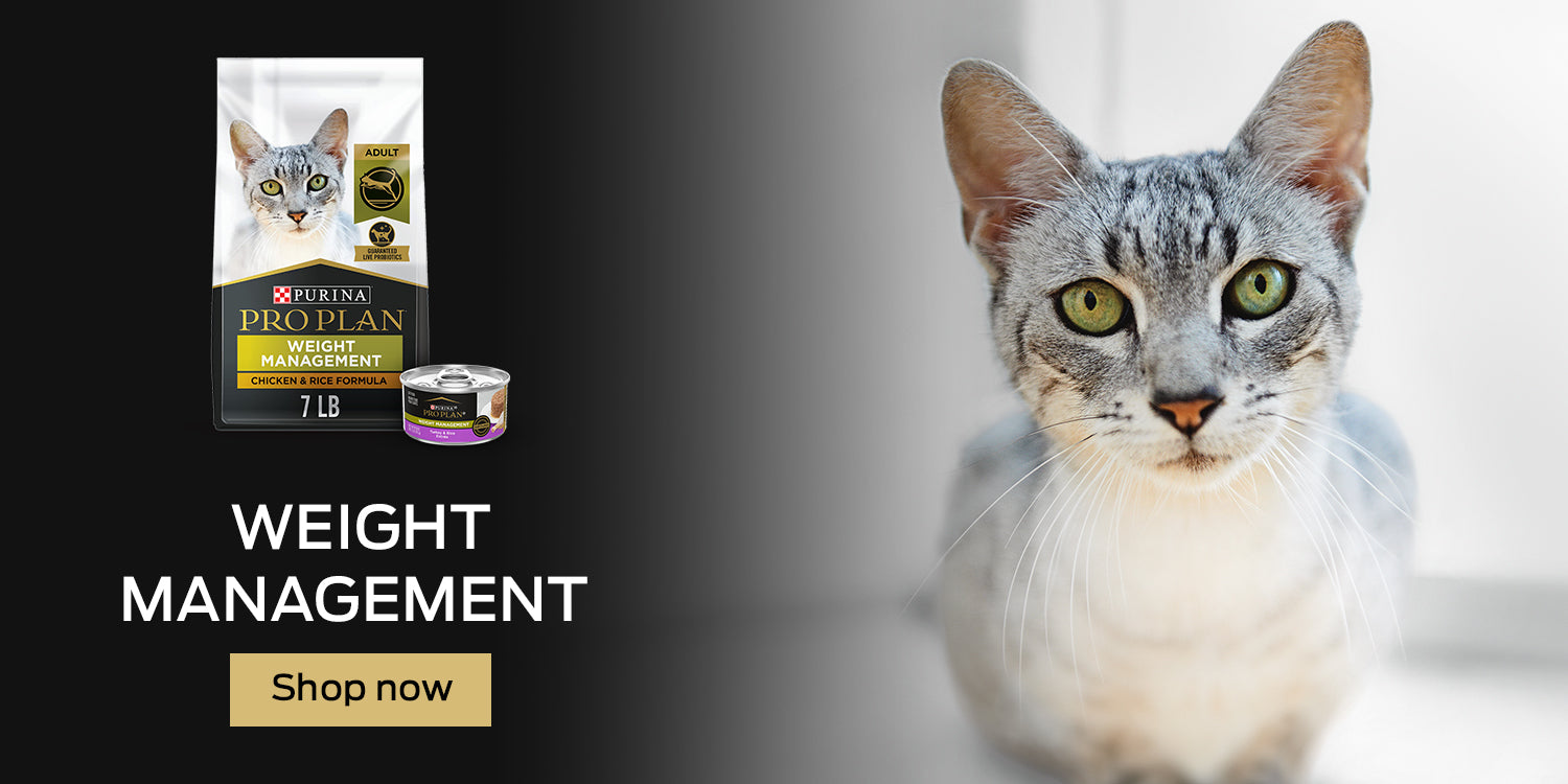 Pro plan hotsell cat weight management