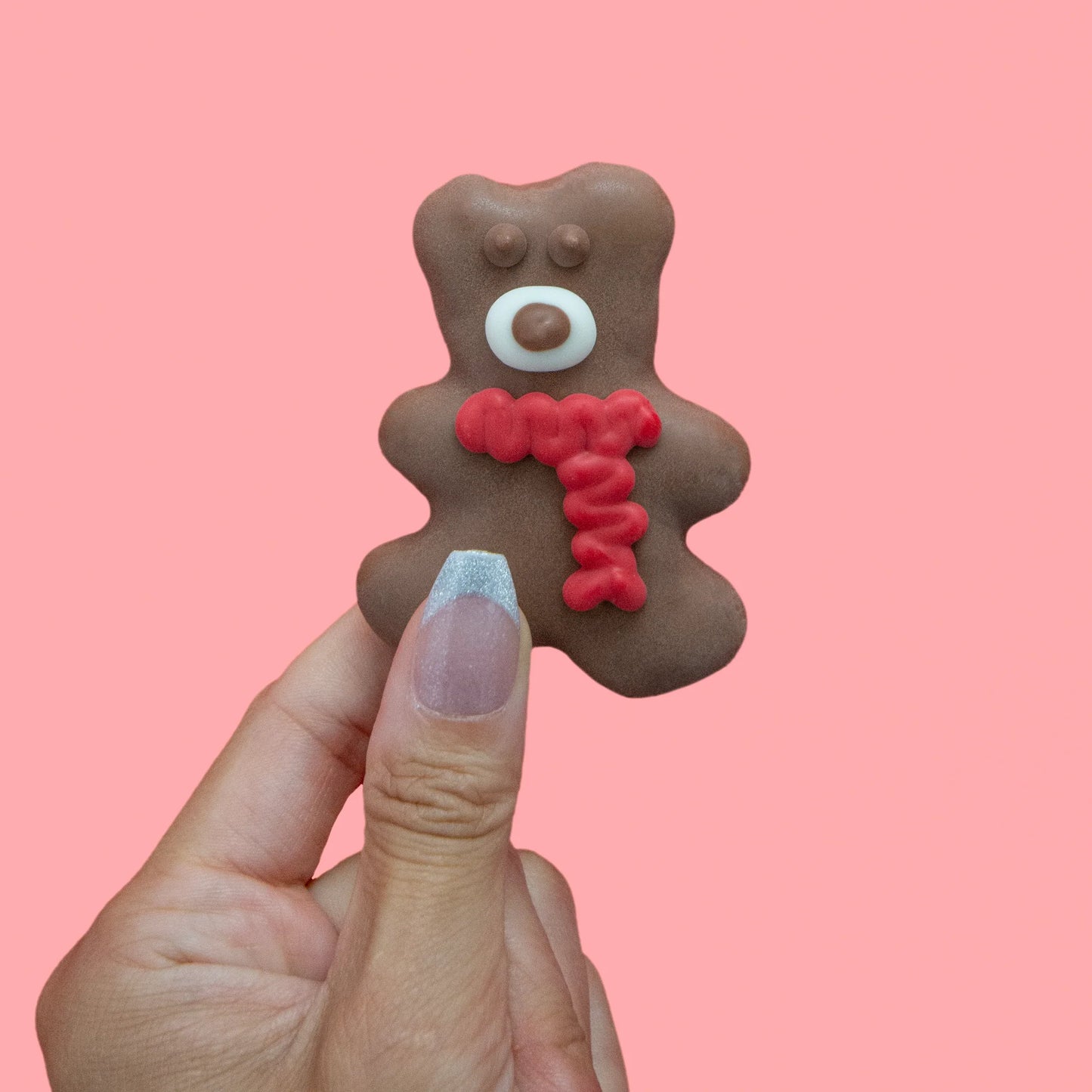 Bosco & Roxys Holiday Have A Beary Christmas Teddybear Cookie