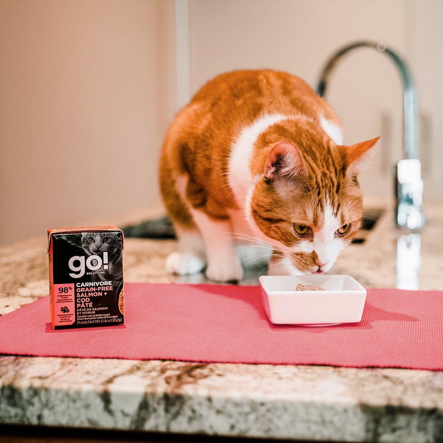 Go! Cat Food Carnivore Grain Free Tetra Pak Salmon & Cod - 182g - Canned Cat Food - Go! - PetMax Canada