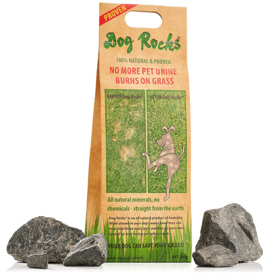 Dog Rocks Grass Saver