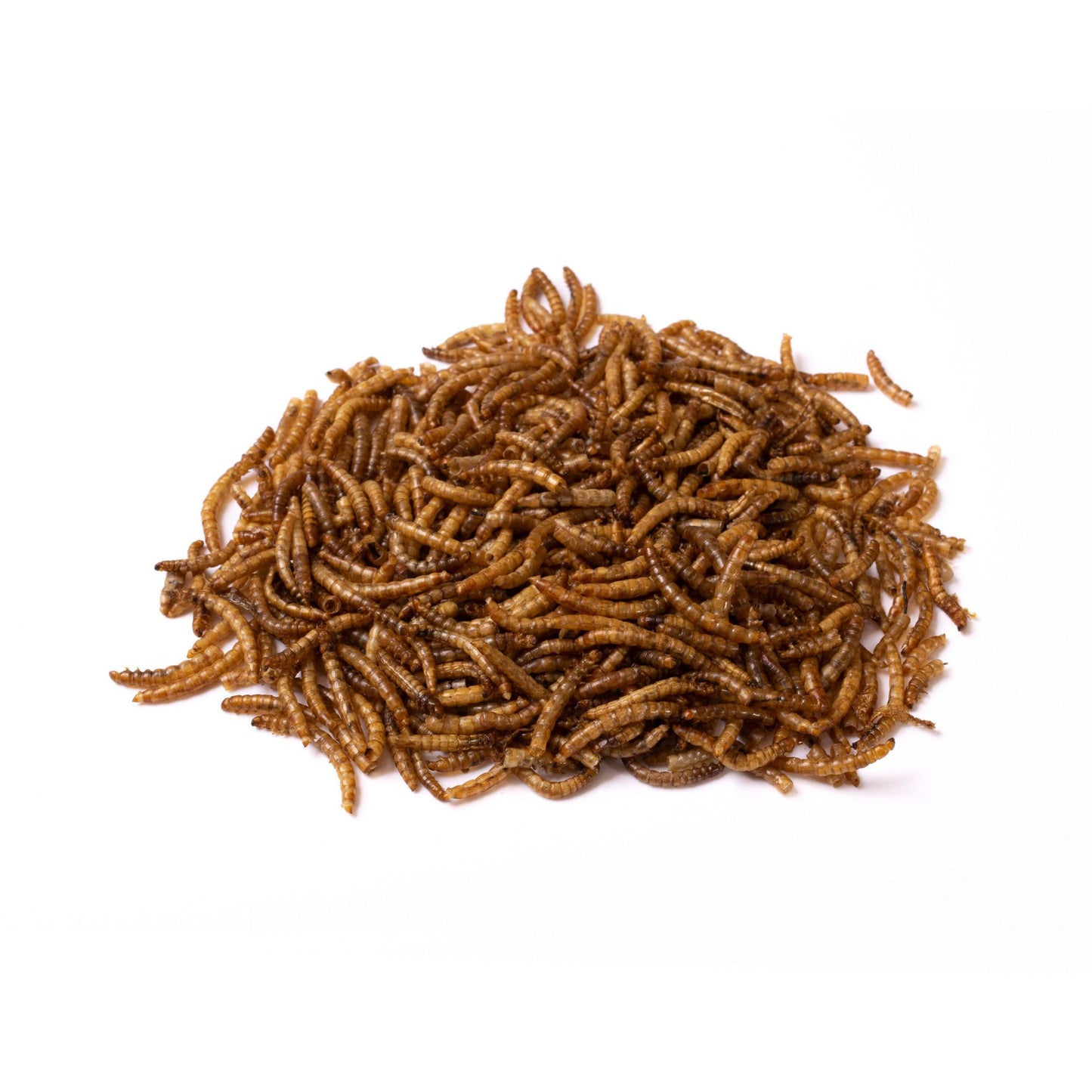 Topcrop Wild Bird Dried Mealworms