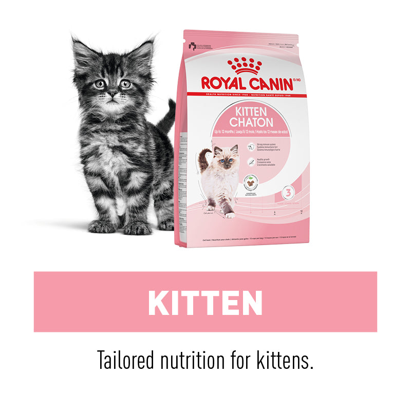 Buy royal canin cat food online hotsell