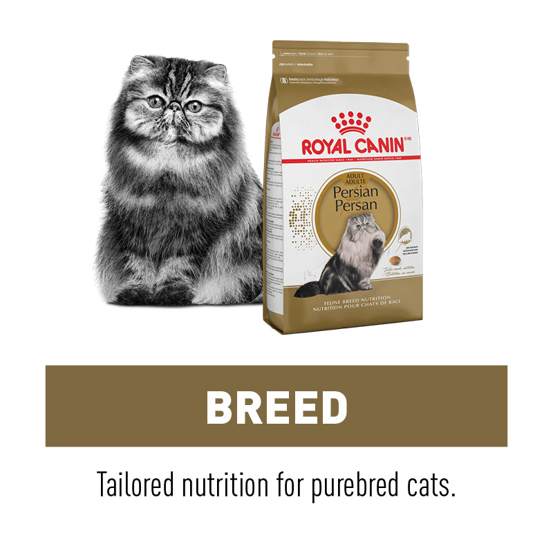 Buying cat food online best sale