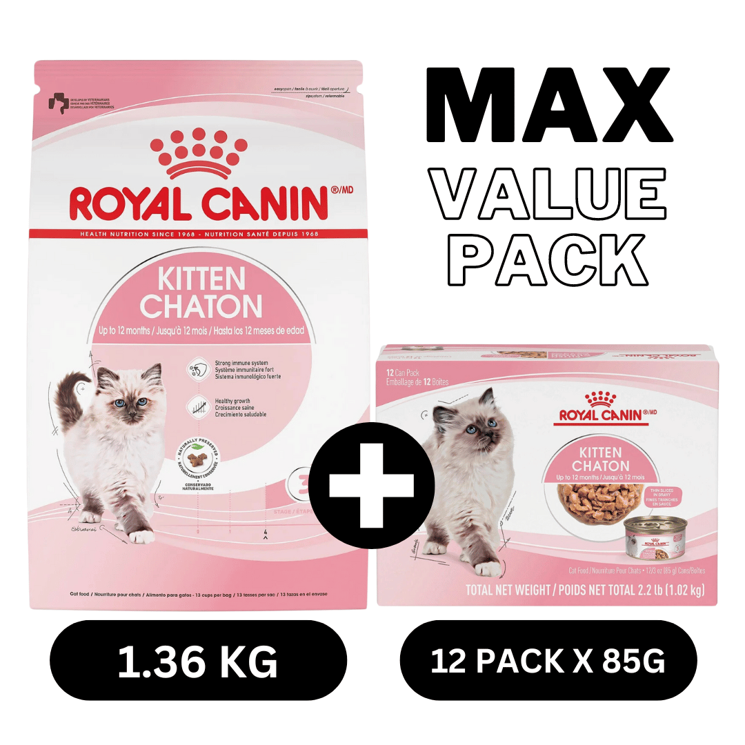 Max Value Pack: Royal Canin Kitten Wet and Dry Food